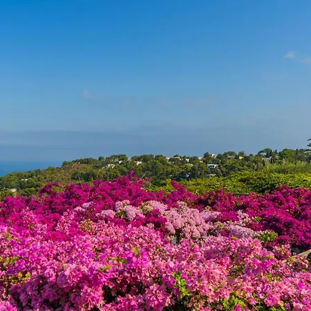 Il Girasole Hotel Anacapri (Isola di Capri)