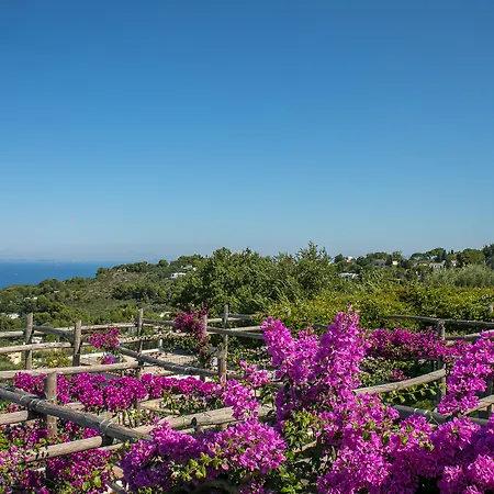 Il Girasole Hotel Anacapri (Isola di Capri)