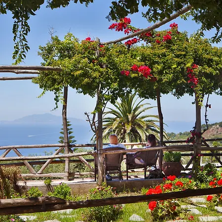 Hotel Il Girasole