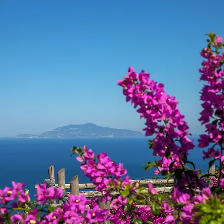 Il Girasole 3*