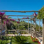 Il Girasole